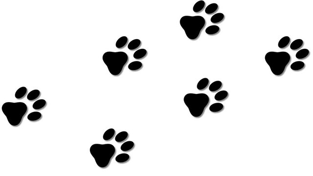 Animal paw footprint animation on background.Each footprint appears with a soft fade-in effect, mimicking the gentle pace of an animal's walk.