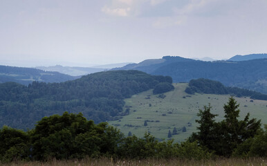 Hills with trees at Kreuzberg monastery