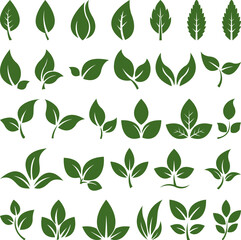 Collection of 30 Green Leaf Icons and Symbols Nature, Ecology, and Spring Designs for Logos, Websites,
