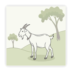 Eid al Fitr & Eid al Adha Doodles