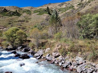 amazing river in the mountains
