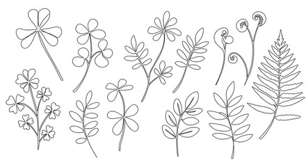 Collection of Line Art Botanical Illustrations Clovers Ferns and Flowers