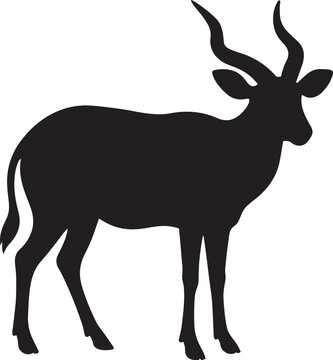 a bongo vector