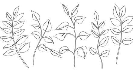Elegant Line Art Botanical Illustrations Five Simple Leaf Branch Drawings