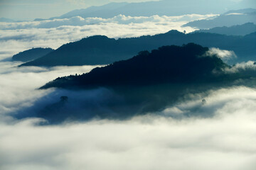 Serene Mountain Landscape with Fog and Mist at Sunrise in Nature