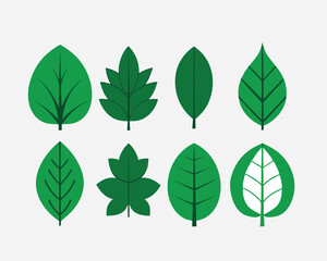 Fototapeta premium Collection of Flattened Green Leaves.