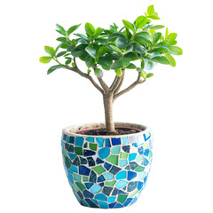 Fototapeta premium decorative plant in colorful mosaic pot, showcasing vibrant green leaves and sturdy trunk, perfect for home decor or office spaces