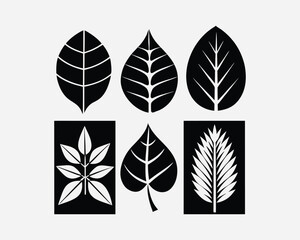 Six stylized leaf silhouettes in a graphic design.