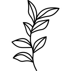 Wildflower Outline Illustration