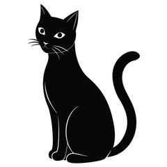 Obraz premium black and white cat