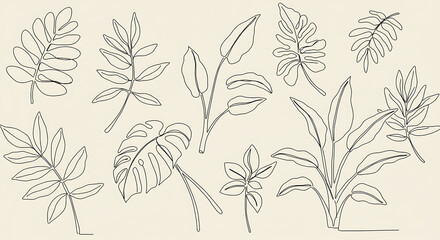 Elegant Line Art Botanical Prints Tropical Leaves Plants Minimalist Design