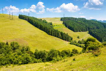 tranquil countryside landscape with forest on the hill in summer. green environment with tree on mountain under blue sky for travel. rolling highland