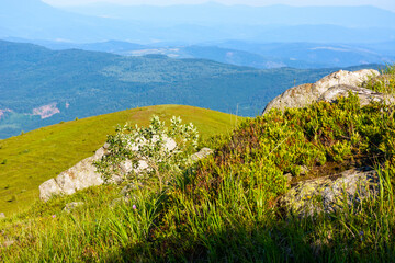 pile of rock boulder on the grassy slope. carpathian mountain landscape blurred in the distance. sunny morning