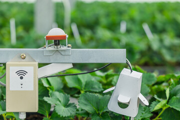 Smart farming, CO2 Sensor humidity lighting temperature monitor technology for automation plant farm
