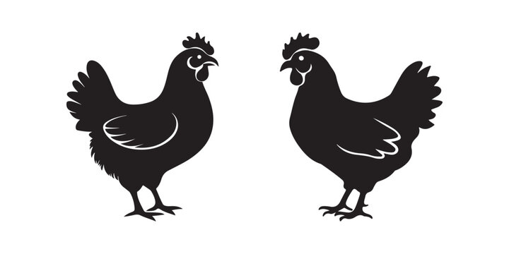 Classic Black Chicken Silhouettes Vector - Farm Hen and Rooster Icons for Branding