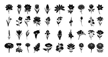 flower collection assorted botanical elements black silhouette shape vector