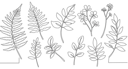 Elegant Line Art Botanical Illustrations Ferns Leaves Flowers Minimalist Design Set