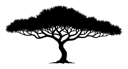 acacia tree african savanna silhouette vector