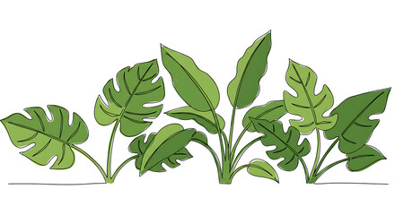Obraz premium Lush Tropical Foliage Line Art Illustration of Monstera and Heliconia Leaves