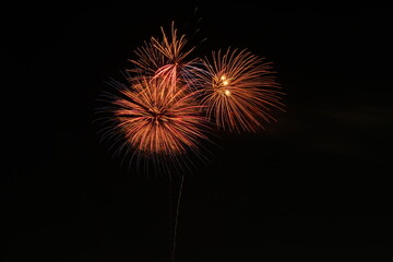 Spectacular fireworks display lighting up the night sky.A vibrant fireworks show with colorful bursts illuminating the night sky, perfect for celebrations, festivals, or seasonal events like New Year'