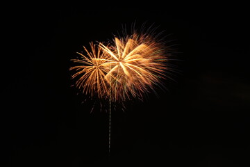 Spectacular fireworks display lighting up the night sky.A vibrant fireworks show with colorful bursts illuminating the night sky, perfect for celebrations, festivals, or seasonal events like New Year
