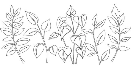 Elegant Line Art Botanical Illustration Leaves and Flowers Minimalist Plant Design Nature Sketch