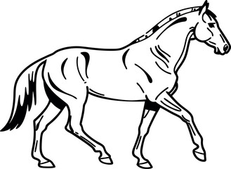 Horse Line Art – Elegant Animal Outline Design