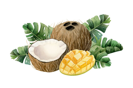 watercolor coconut, mango, tropical leaves clip art preview