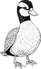 Woodland Animals SVG Illustrations funny Animals Handmade  scribbles cat