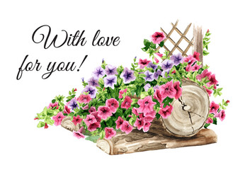 Rustic composition with Petunia flowers, greeting card. Hand drawn watercolor illustration isolated on white background