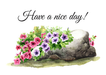 Rustic composition with Petunia flowers. Hand drawn watercolor illustration, isolated on white background