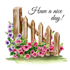 Rustic Fence with a climbing Petunia flowers. Hand drawn watercolor illustration isolated on white background