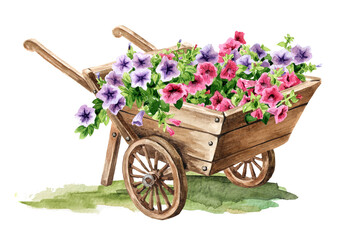 Wooden garden wheelbarrow with rustic petunia flowers. Hand drawn watercolor illustration isolated on white background