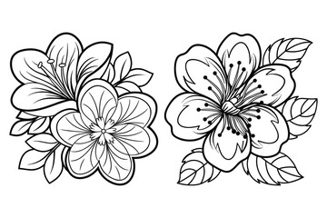Elegant floral designs two flowers line art isolated on white background