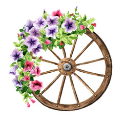 Wooden wheel decorated with rustic petunia flowers. Hand drawn watercolor illustration isolated on white background