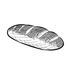 Bread vector line art hand drawn illustration 