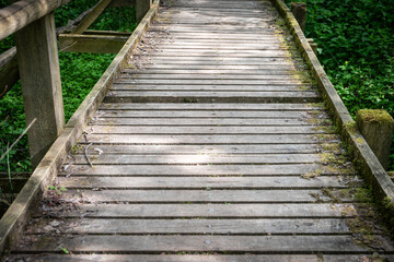 Fototapeta premium Old Wooden Footbridge with Moss and Shadows in Forest Nature Trail Setting