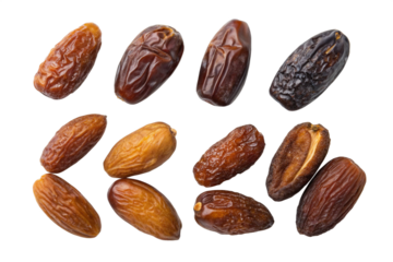 Types of dates varieties of dates isolated on transparent background different types on sizing and species of date palms