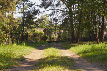park,ścieżka 