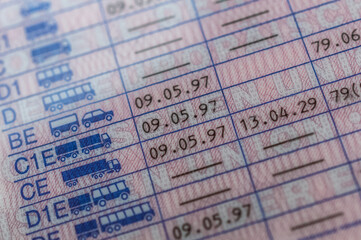 EU-Führerschein umtauschen 2025