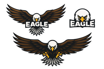 Fototapeta premium eagle logo