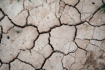 Dry cracked earth as a background close-up.
