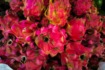 Pitaya. tropical fruit background. Close up of red dragon fruit from traditional market.