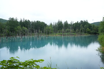 Scenic Views from Hokkaido, Japan &ndash; Nature, Flowers, and Landmarks.A collection of beautiful photographs taken during a trip to Hokkaido, Japan. Featuring landscapes, lavender fields, waterfalls, hot 
