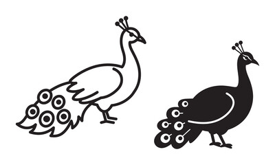 Fototapeta premium vector illustration of a peacock