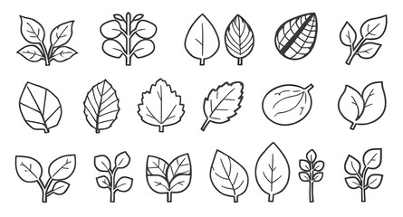 summer leaves cartoon, nature leaves icons, leaf doodle set, leaf bundle cartoon, green foliage icons, tropical plant leaves, garden leaves illustration, plant leaf vector, leaf pattern cartoon, decor