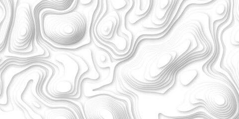 Abstract wavy line 3d paper cut white background. white and gray luxury grid topography map and satin smooth wallpaper matt paper light texture. White waves decorative papercut design.