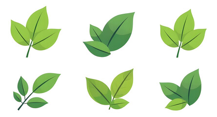 set of leaves vector