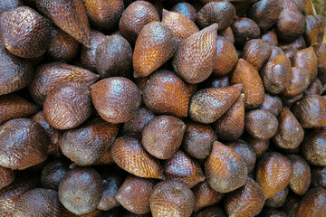 A close-up photo of a group of salak fruit or snake fruit from a traditional market, with their brown textured skin. Close Up of Salak Fruits texture material background.
