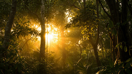 Golden Sun Rays Penetrating Dense Tropical Rainforest Foliage